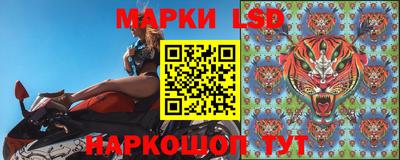 a pvp Тара