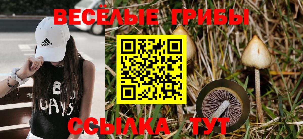 Галлюциногенные грибы Magic Shrooms  Вход с VPN  Нарьян-Мар 