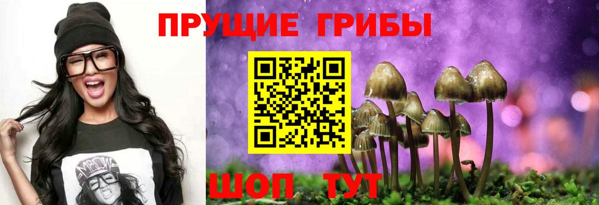 Псилоцибиновые грибы мухоморы Нарьян-Мар